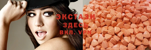 шишки Арсеньев