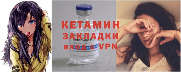 шишки Арсеньев