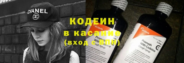 шишки Арсеньев