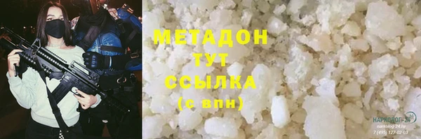 шишки Арсеньев