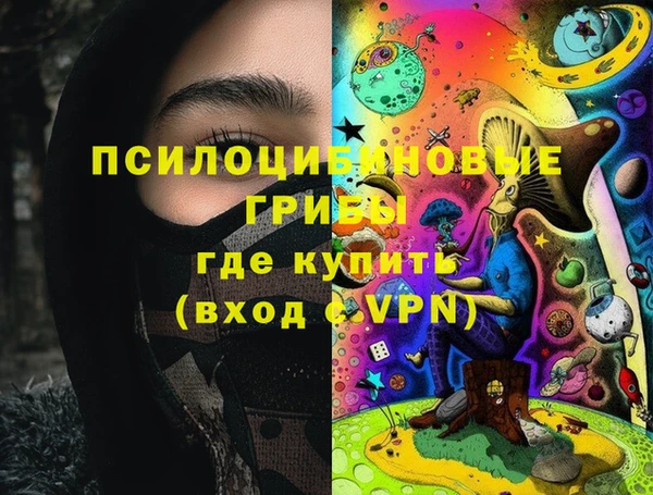 сатива Армянск