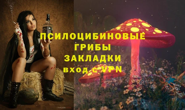 сатива Армянск