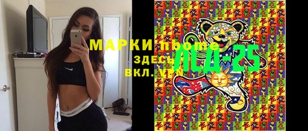 apvp Аркадак