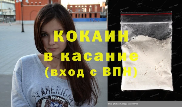 шишки Арсеньев