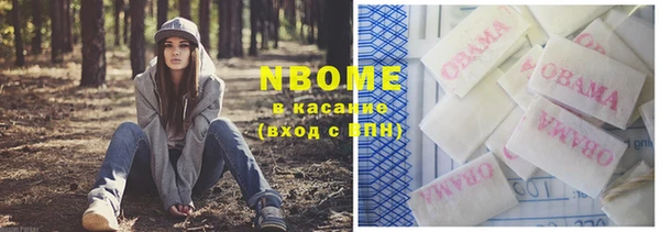 шишки Арсеньев