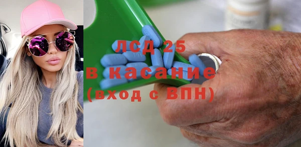 сатива Армянск